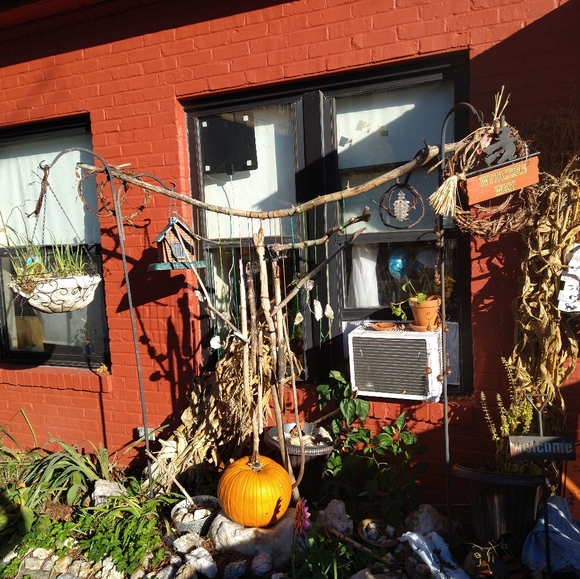 Meet your Posher, Hopeful - Picture 8 of 16